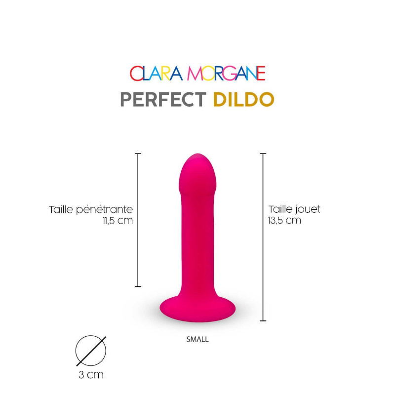 Perfect Dildo Small Rose