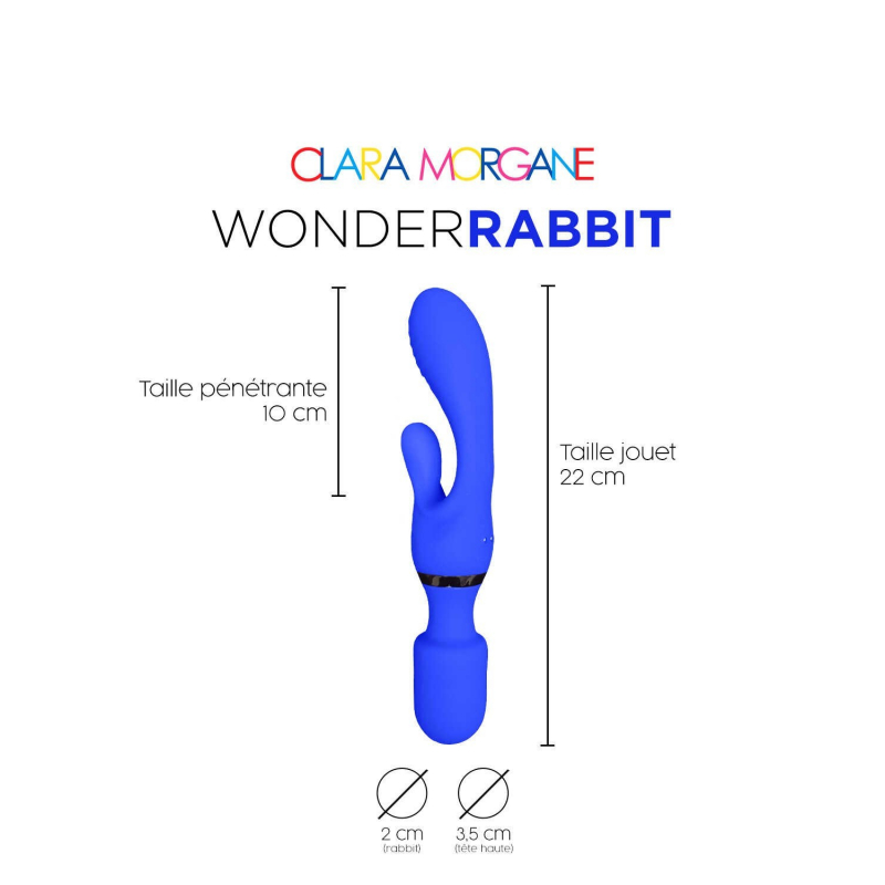 Wonder rabbit Bleu