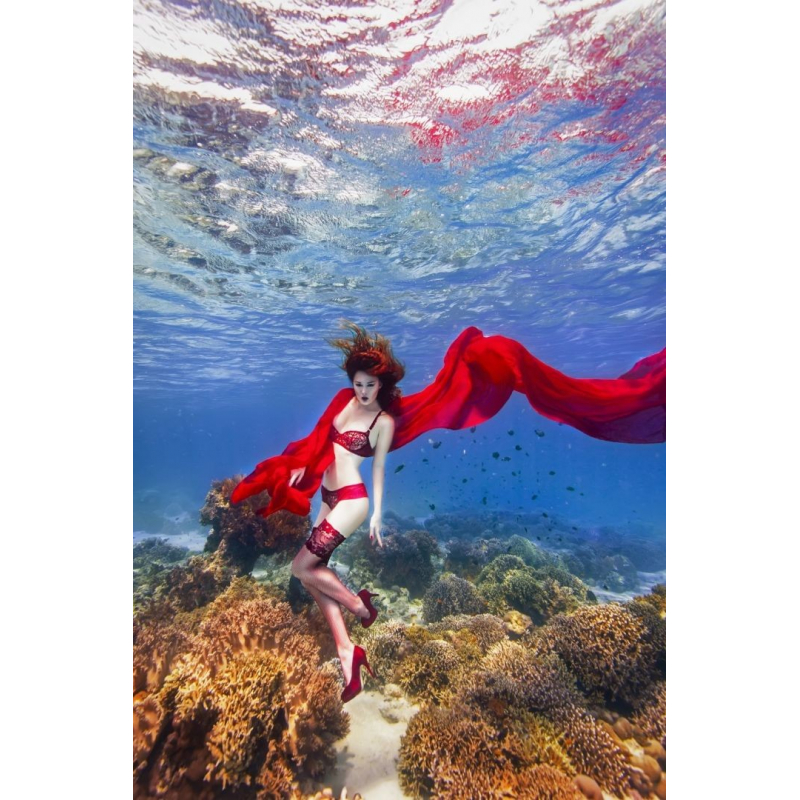 Vin Rouge Soutien-gorge V-6281