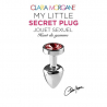 My little secret plug small Rouge