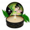 Kit Secret de Geisha ORGANICA Thé vert exotique Parfum Thé vert