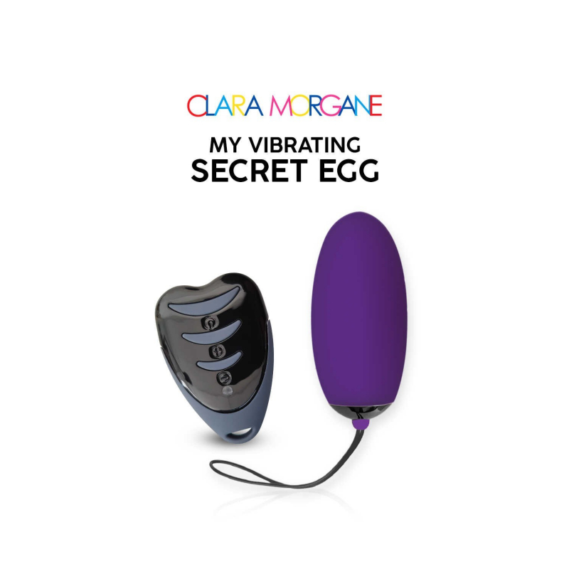 My vibrating secret egg Violet